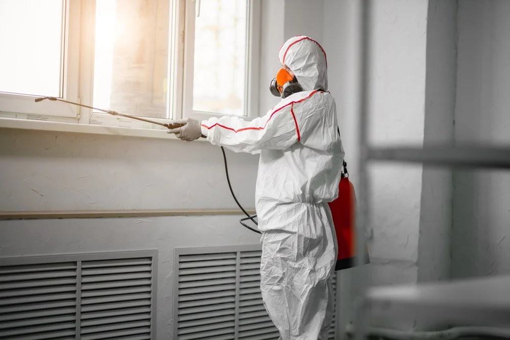 Professional mold remediation services in Silver Creek, GA